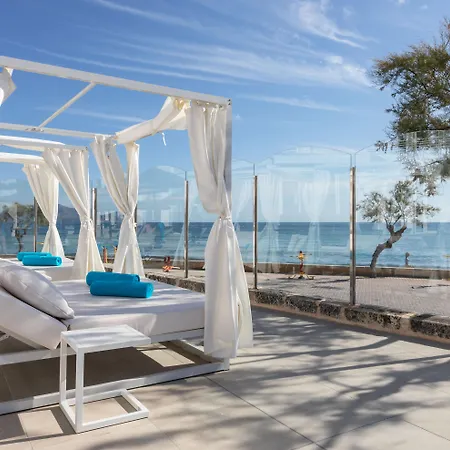 Globales Concord (Adults Only)-2